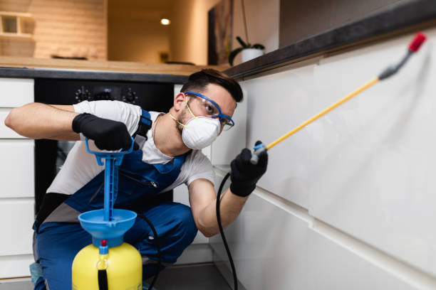 Best Exterminator Services  in Edcouch, TX
