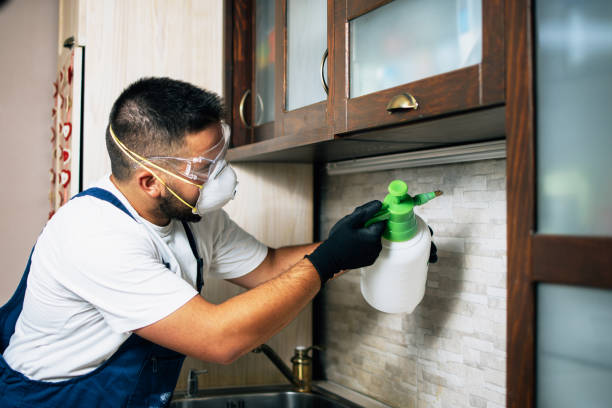 Best Rat Extermination Near Me  in Edcouch, TX