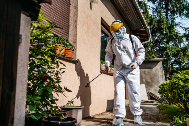 Professional Pest Control in Edcouch, TX