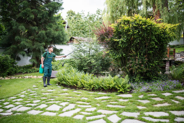 Best Affordable Pest Control Services  in Edcouch, TX