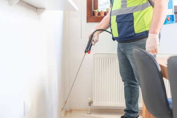 Trusted Edcouch, TX Pest Control Experts