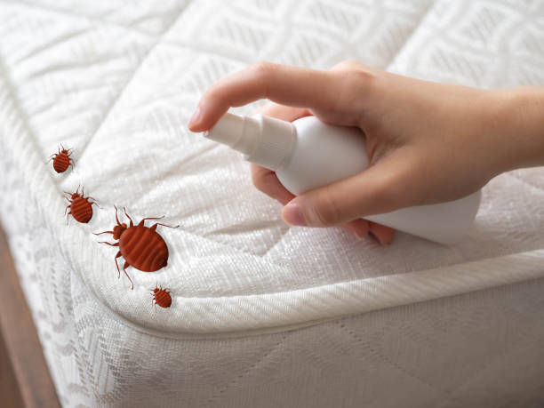 Best Residential Pest Control  in Edcouch, TX