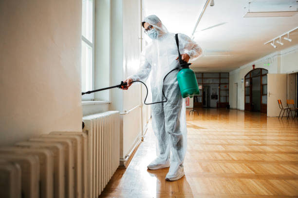 Best Pest Inspection Near Me  in Edcouch, TX